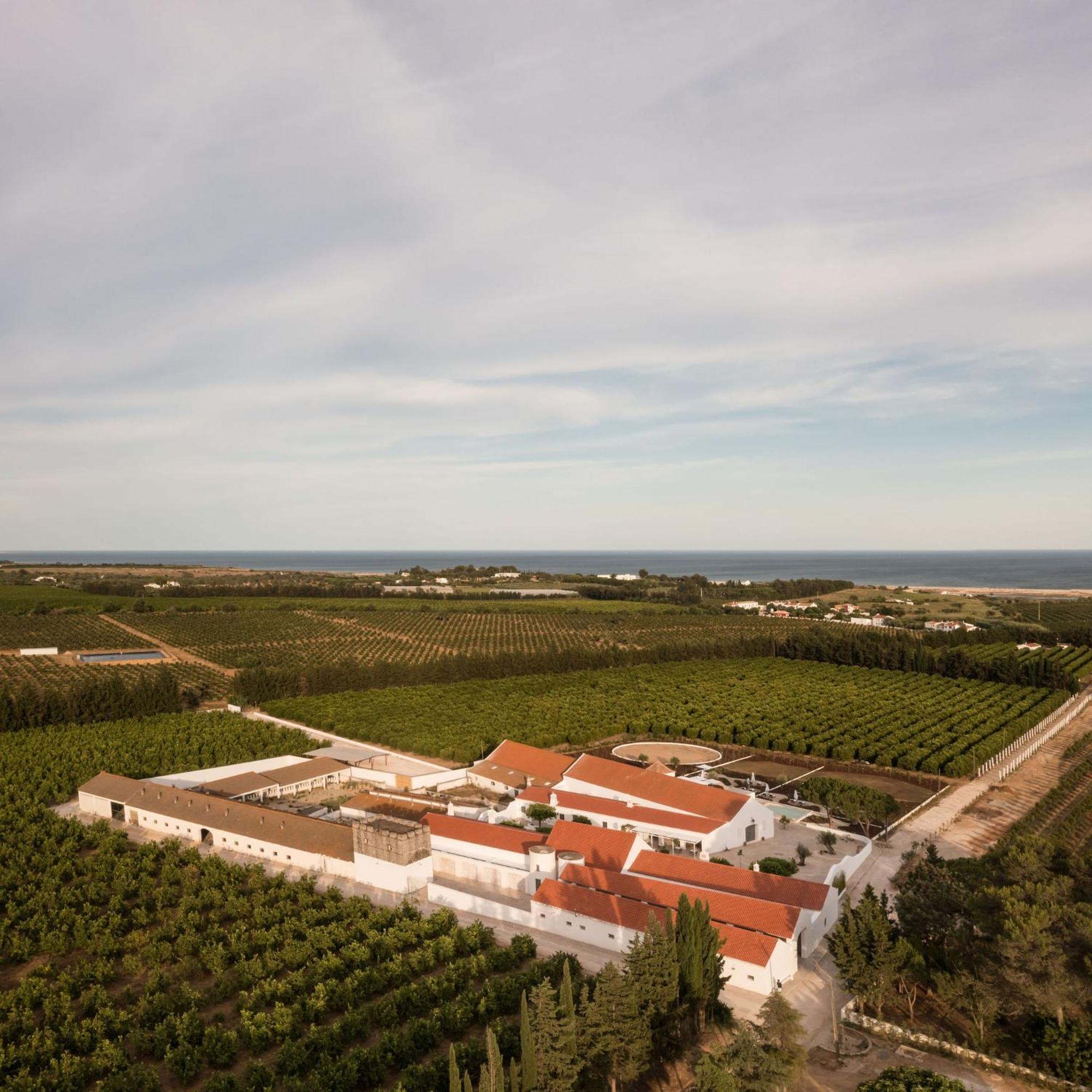 Casas Da Quinta De Cima Villa Vila Nova de Cacela Buitenkant foto
